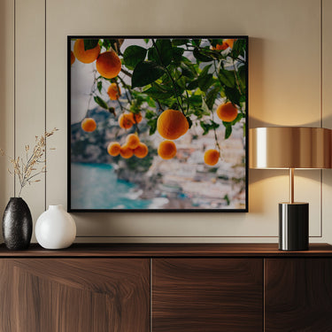 Naranjas de la Costa Amalfitana  ·  cuadro de decoración